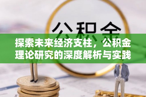 嘉黎探索未来经济支柱，公积金理论研究的深度解析与实践意义