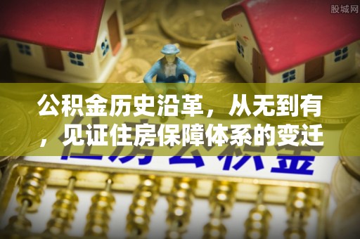 嘉黎公积金历史沿革，从无到有，见证住房保障体系的变迁