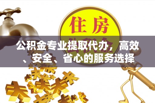 嘉黎公积金专业提取代办，高效、安全、省心的服务选择
