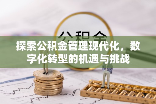 嘉黎探索公积金管理现代化，数字化转型的机遇与挑战