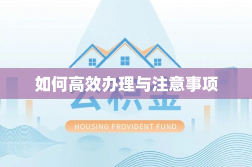 嘉黎如何高效办理与注意事项