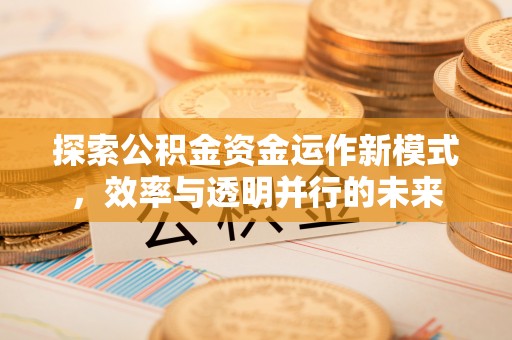 嘉黎探索公积金资金运作新模式，效率与透明并行的未来