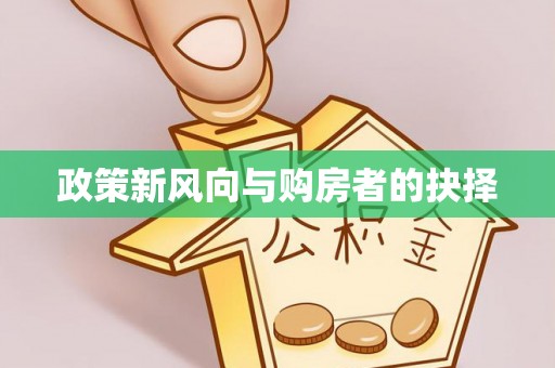 嘉黎政策新风向与购房者的抉择