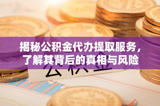 嘉黎揭秘公积金代办提取服务，了解其背后的真相与风险