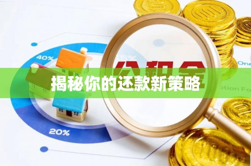 嘉黎揭秘你的还款新策略