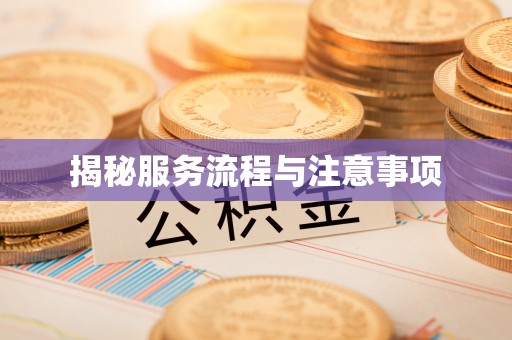 嘉黎揭秘服务流程与注意事项