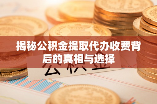 嘉黎揭秘公积金提取代办收费背后的真相与选择