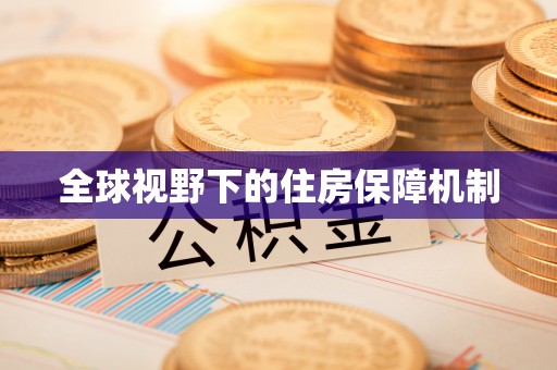 嘉黎全球视野下的住房保障机制