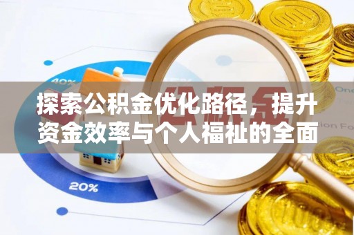 嘉黎探索公积金优化路径，提升资金效率与个人福祉的全面解析