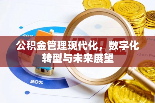 嘉黎公积金管理现代化，数字化转型与未来展望