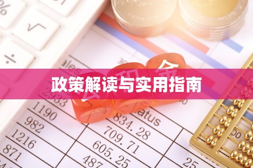 嘉黎政策解读与实用指南