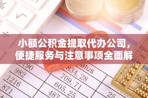 嘉黎小额公积金提取代办公司，便捷服务与注意事项全面解析