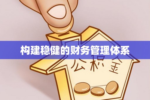 嘉黎构建稳健的财务管理体系