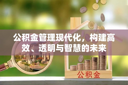 嘉黎公积金管理现代化，构建高效、透明与智慧的未来