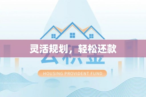 嘉黎灵活规划，轻松还款
