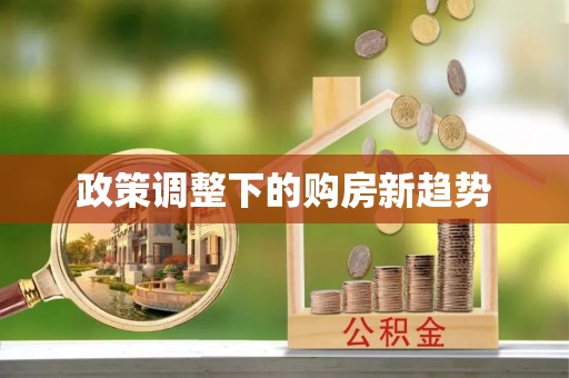 嘉黎政策调整下的购房新趋势
