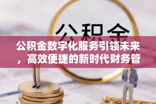 嘉黎公积金数字化服务引领未来，高效便捷的新时代财务管理