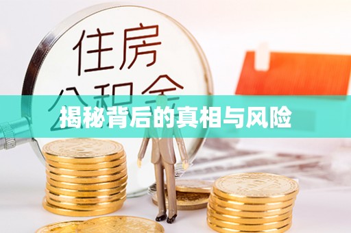 嘉黎揭秘背后的真相与风险