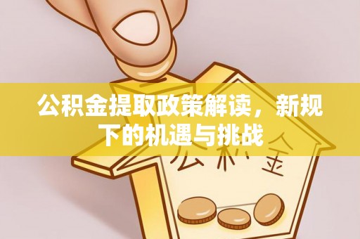 嘉黎公积金提取政策解读，新规下的机遇与挑战
