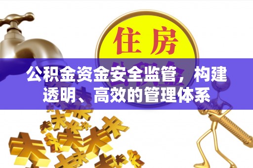 嘉黎公积金资金安全监管，构建透明、高效的管理体系