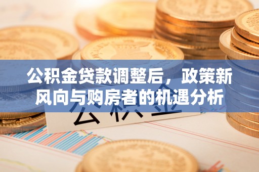 嘉黎公积金贷款调整后，政策新风向与购房者的机遇分析