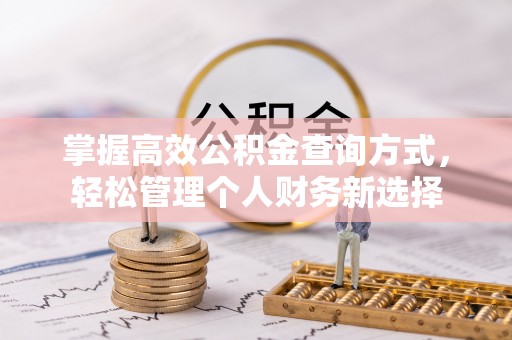 嘉黎掌握高效公积金查询方式，轻松管理个人财务新选择