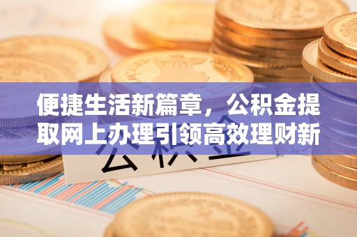 嘉黎便捷生活新篇章，公积金提取网上办理引领高效理财新趋势
