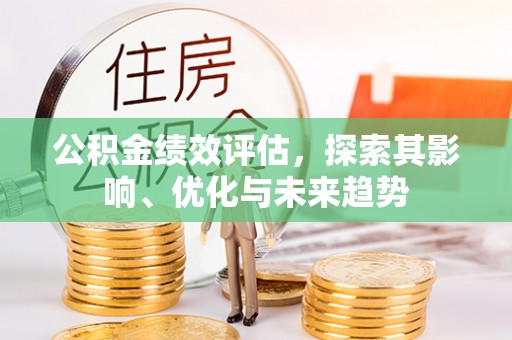 嘉黎公积金绩效评估，探索其影响、优化与未来趋势