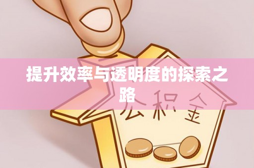 嘉黎提升效率与透明度的探索之路