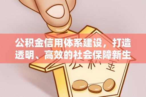 嘉黎公积金信用体系建设，打造透明、高效的社会保障新生态