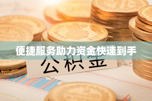 嘉黎便捷服务助力资金快速到手