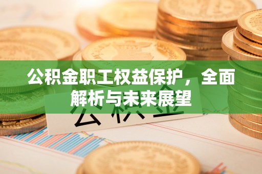 嘉黎公积金职工权益保护，全面解析与未来展望