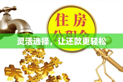 嘉黎灵活选择，让还款更轻松