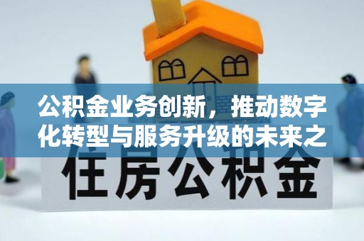 嘉黎公积金业务创新，推动数字化转型与服务升级的未来之路