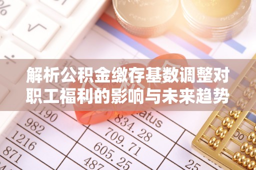 嘉黎解析公积金缴存基数调整对职工福利的影响与未来趋势