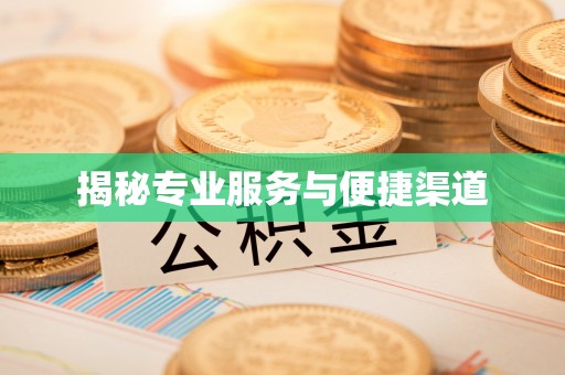 嘉黎揭秘专业服务与便捷渠道