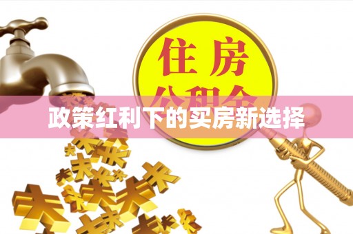 嘉黎政策红利下的买房新选择