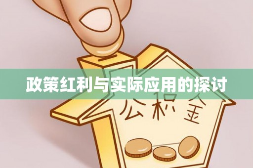 嘉黎政策红利与实际应用的探讨