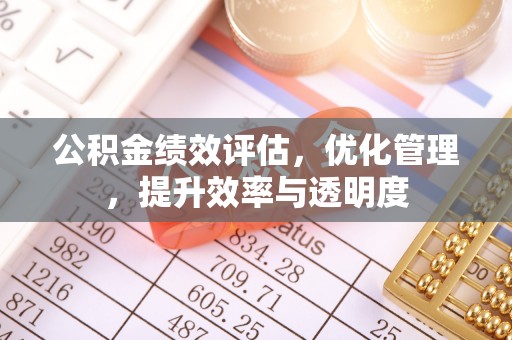 嘉黎公积金绩效评估，优化管理，提升效率与透明度