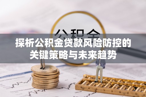 嘉黎探析公积金贷款风险防控的关键策略与未来趋势