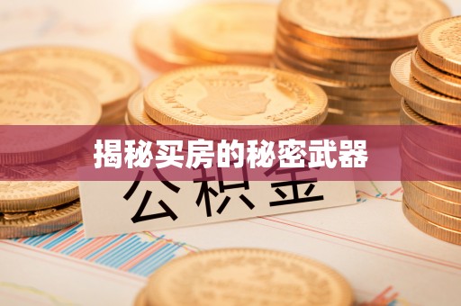 嘉黎揭秘买房的秘密武器