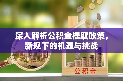 嘉黎深入解析公积金提取政策，新规下的机遇与挑战