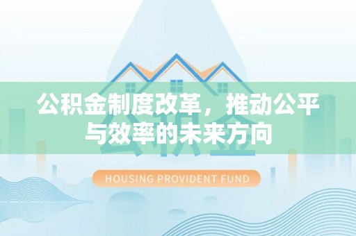 嘉黎公积金制度改革，推动公平与效率的未来方向