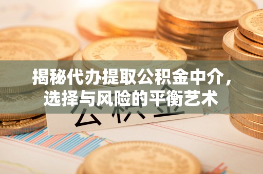 嘉黎揭秘代办提取公积金中介，选择与风险的平衡艺术