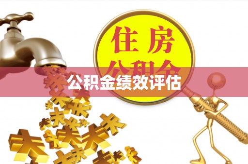 嘉黎公积金绩效评估