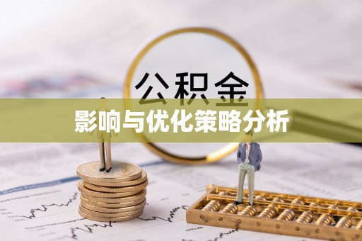 嘉黎影响与优化策略分析