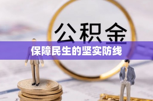 嘉黎保障民生的坚实防线