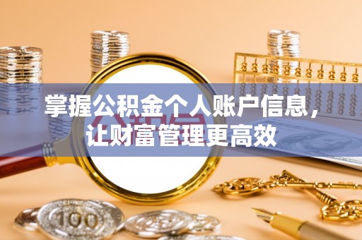 嘉黎掌握公积金个人账户信息，让财富管理更高效