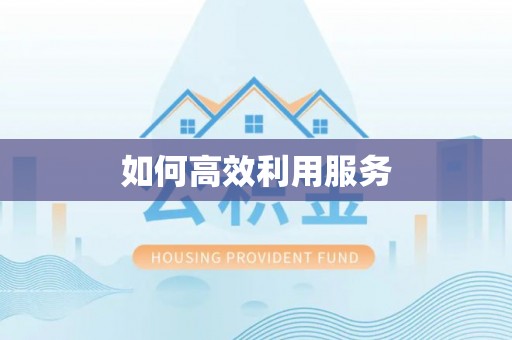 嘉黎如何高效利用服务