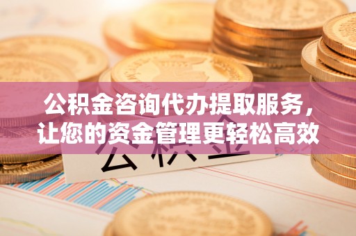 嘉黎公积金咨询代办提取服务，让您的资金管理更轻松高效